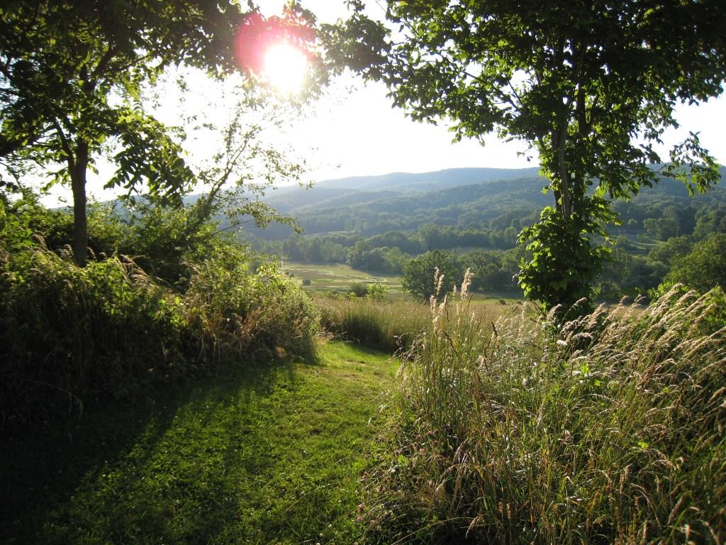 There was warmth, too—and beauty.