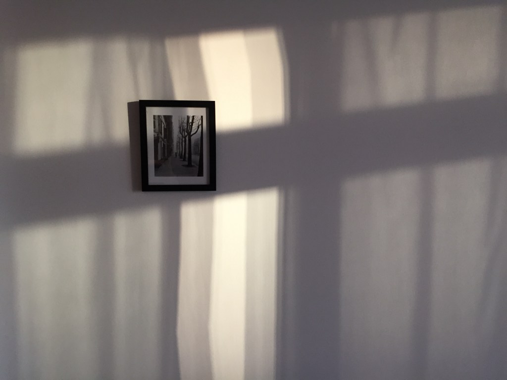 winter sun